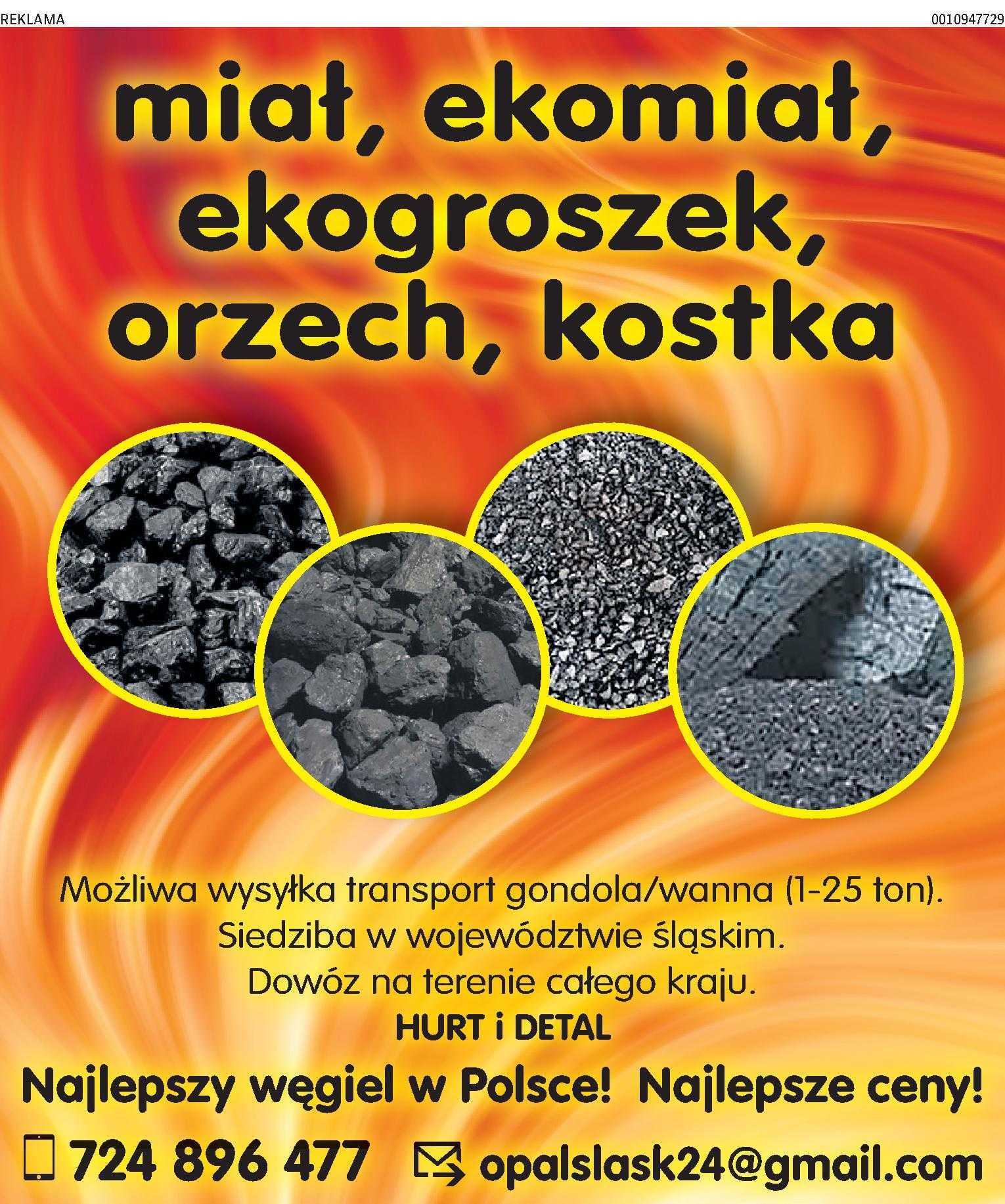 Ekogroszek 26kj PGG TAURON Szybka Dostawa