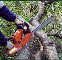 Косіння трави, обрізка дерев та кущів, обробка рослин, різноробочі