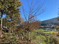Terreno Em Lourosa De Campos | Arouca