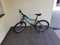 Rower Kellys Vanity 10
