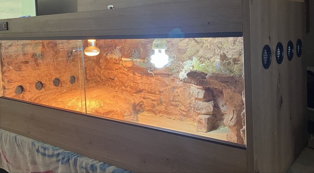 Terrarium pustynne, tropikalne. Żółw, jaszczurka.