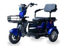 Електротрицикл Forte P600 ( WS600 )