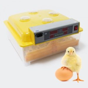 Chocadeira/ incubadora 48 ovos automática-NOVA