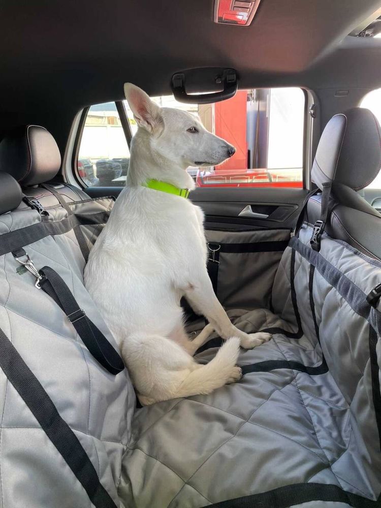 Посилений Чохол-гамак для собак для задніх сидінь або багажника