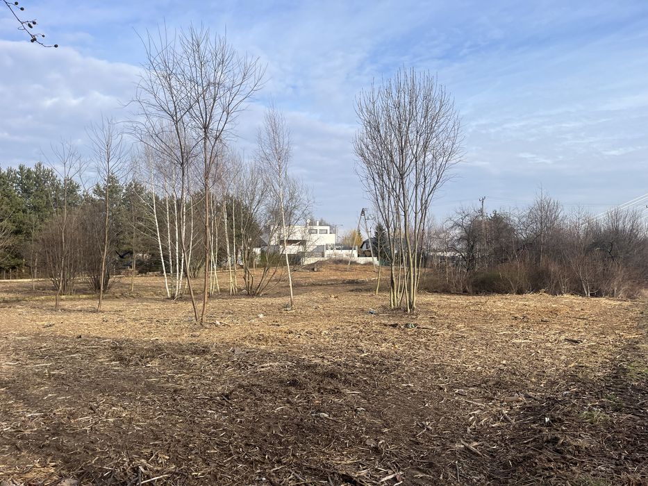 Mulczowanie usuwanie zakrzaczen samosiejek czyszczenie dzialek