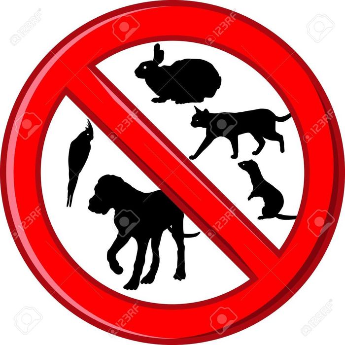 Кімната для дівчини.