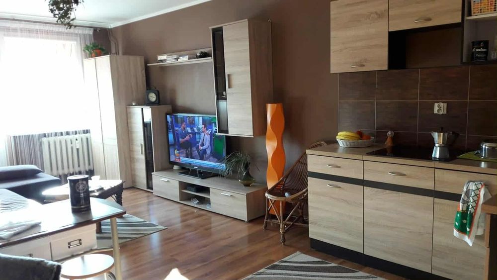 Kawalerka do wynajęcia