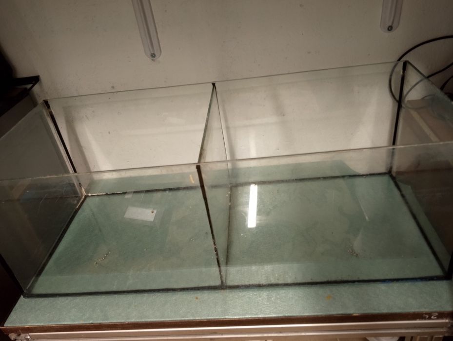 Akwarium podwójne 2x40l