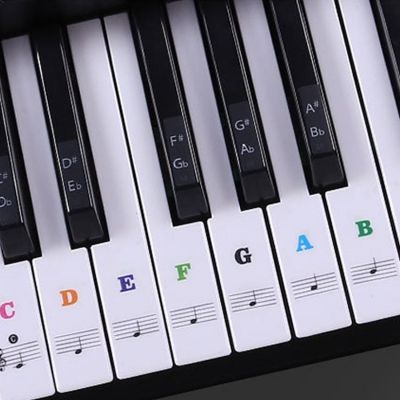 Naklejki Na Klawisze Keyboard / Pianino / Organy / Akordeon