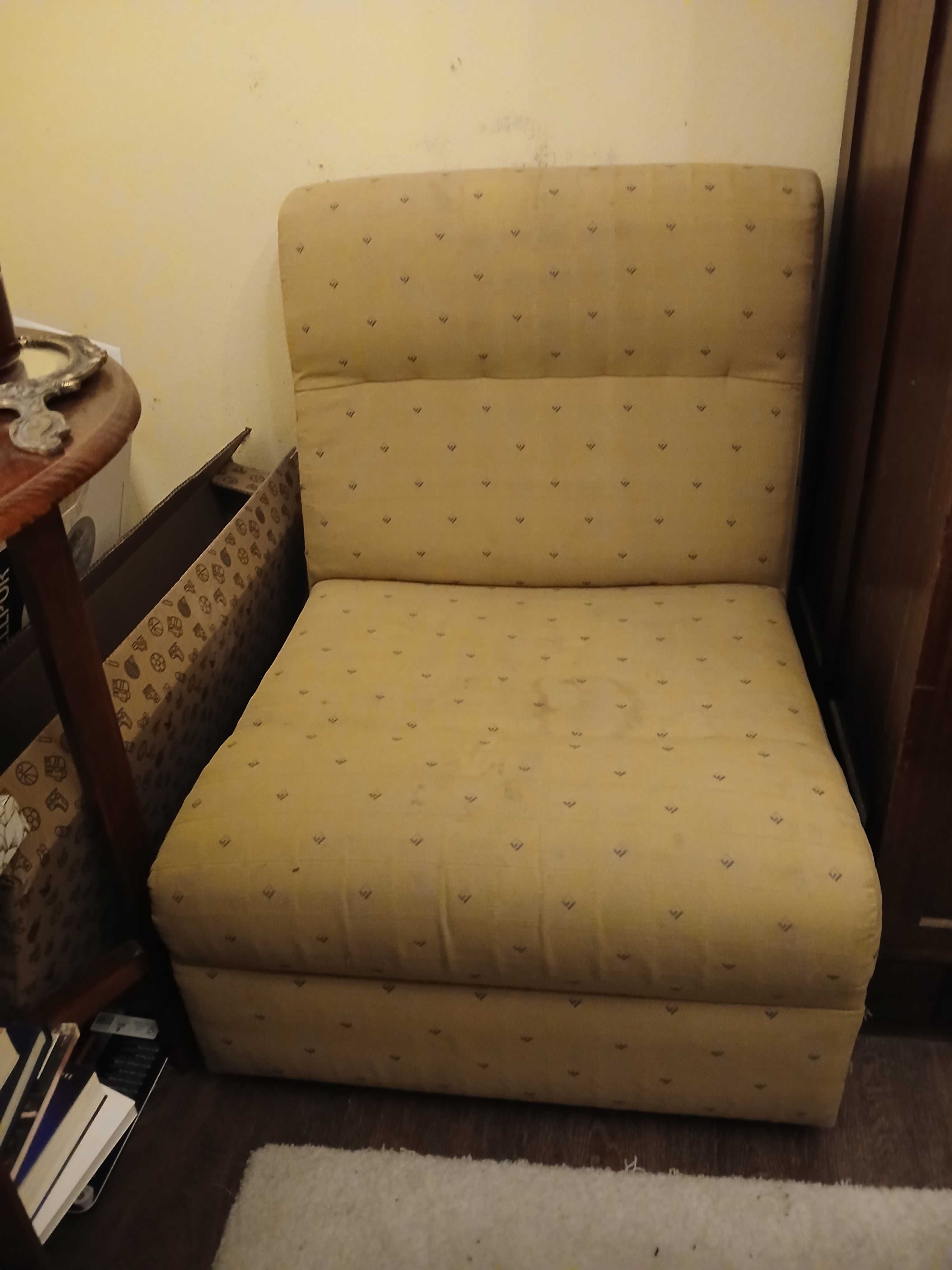 Quarto centenário em Mogno