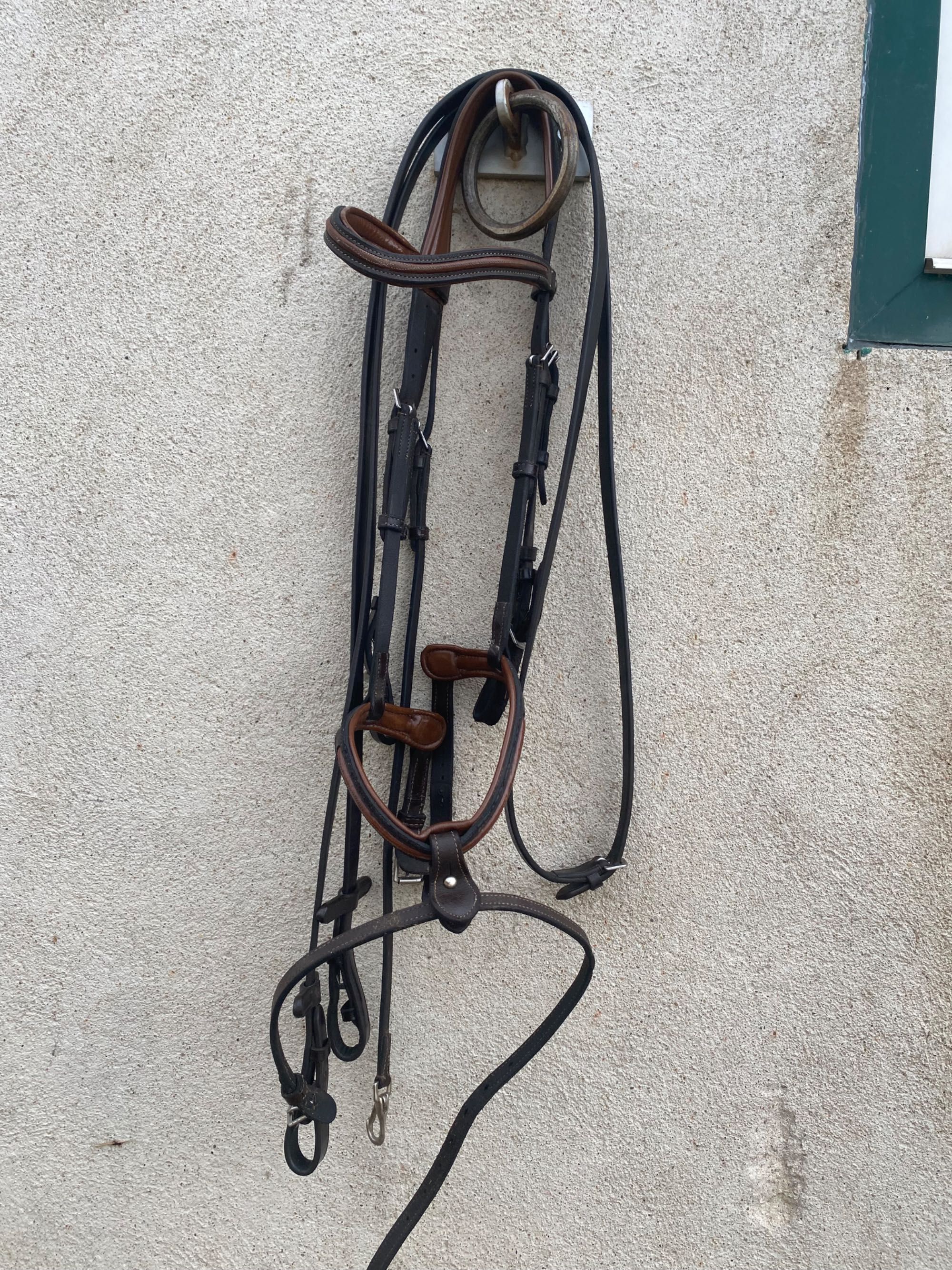 Cabeçada Castanha