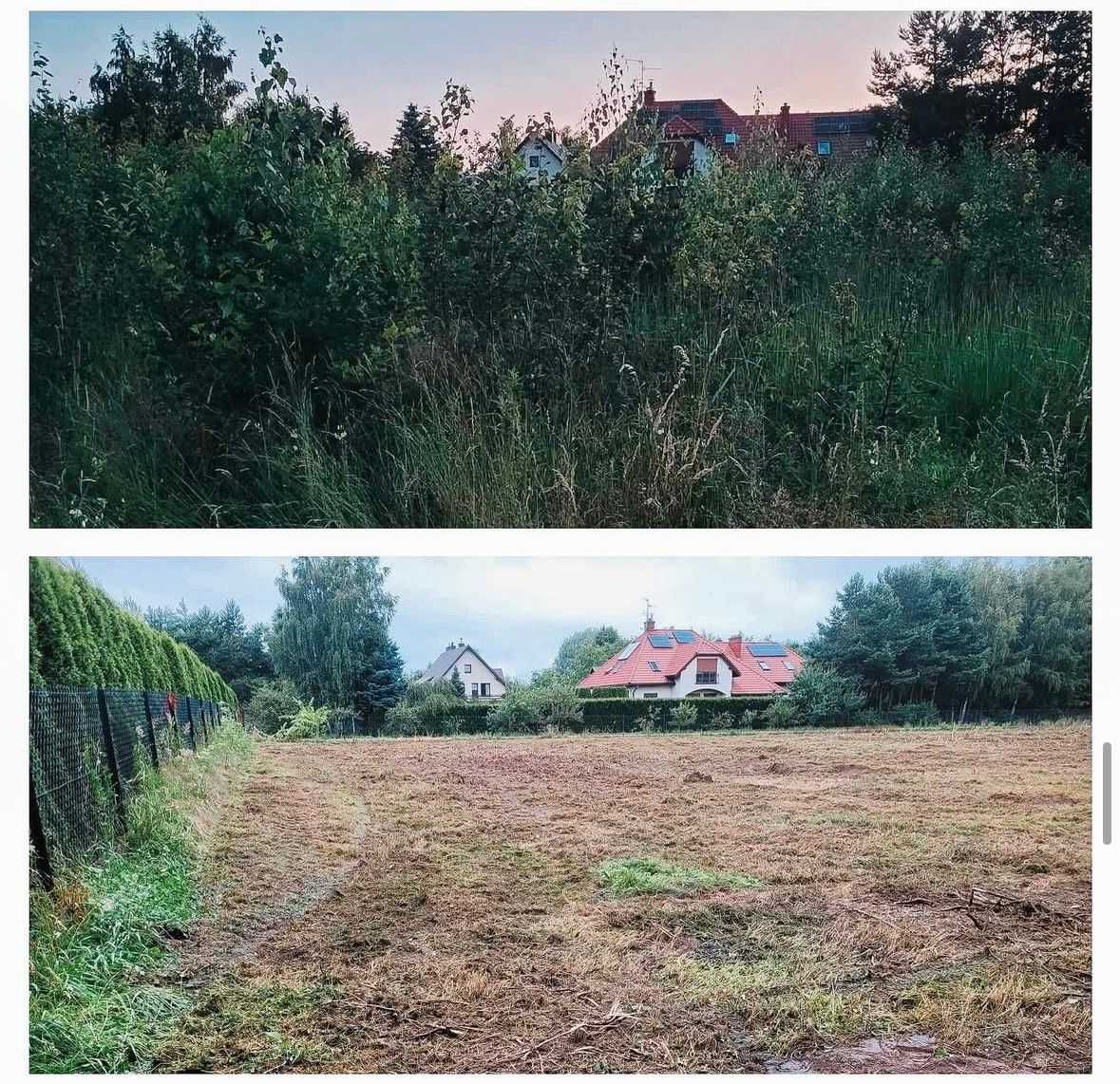 Mulczer, Mulczowanie, Karczowanie, Usuwanie zakrzaczeń