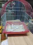 Gaiola para pássaro pequena