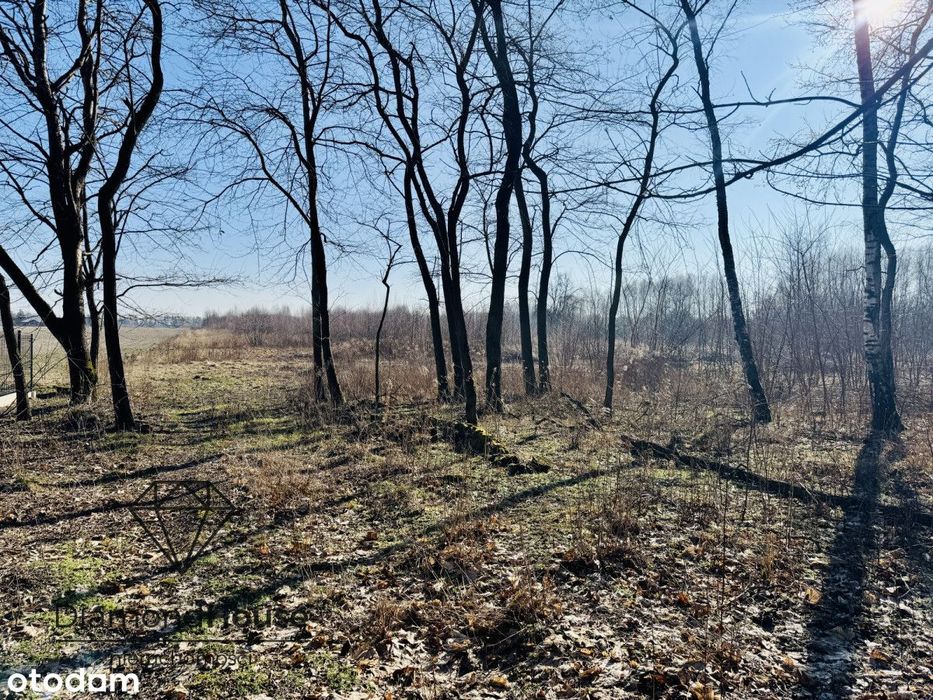 Działka 3391m2  Marków Towarzystwo koło Mszczonowa