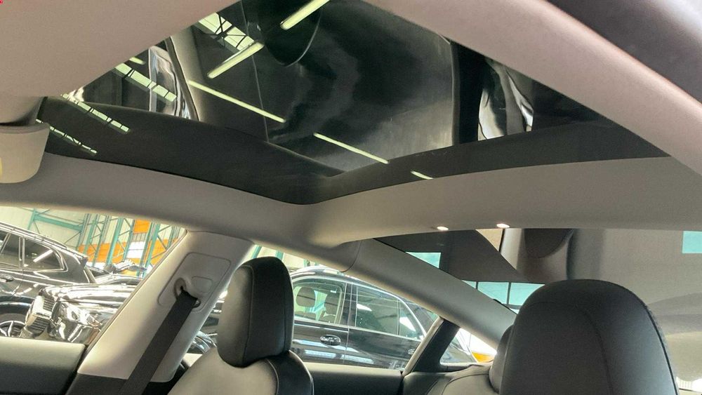 Tesla Model 3 Performance