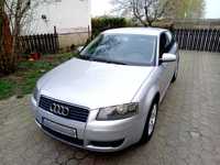 Audi A3 8P, 1.6 MPI benzyna + LPG