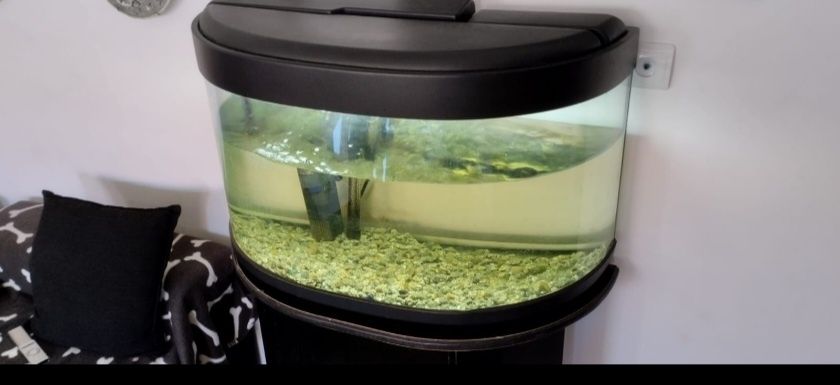 Aquário panorâmico  e móvel