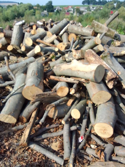 Дрова від 1700 грн