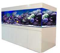Akwarium morskie Classic Reef 200/60/60 cm 720 L full opti