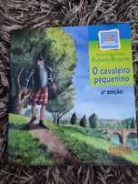 O cavaleiro pequenino