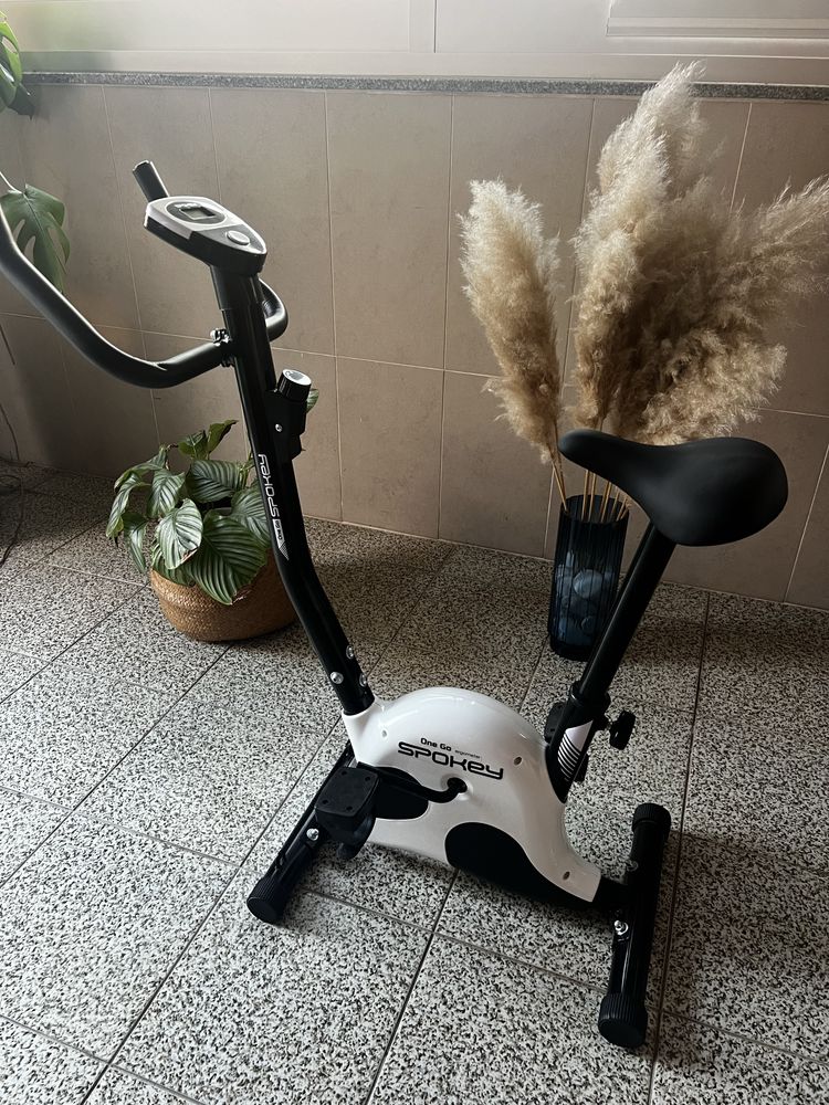Bicicleta estatica