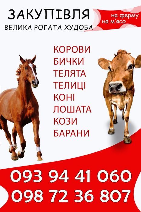 Продам добру корову