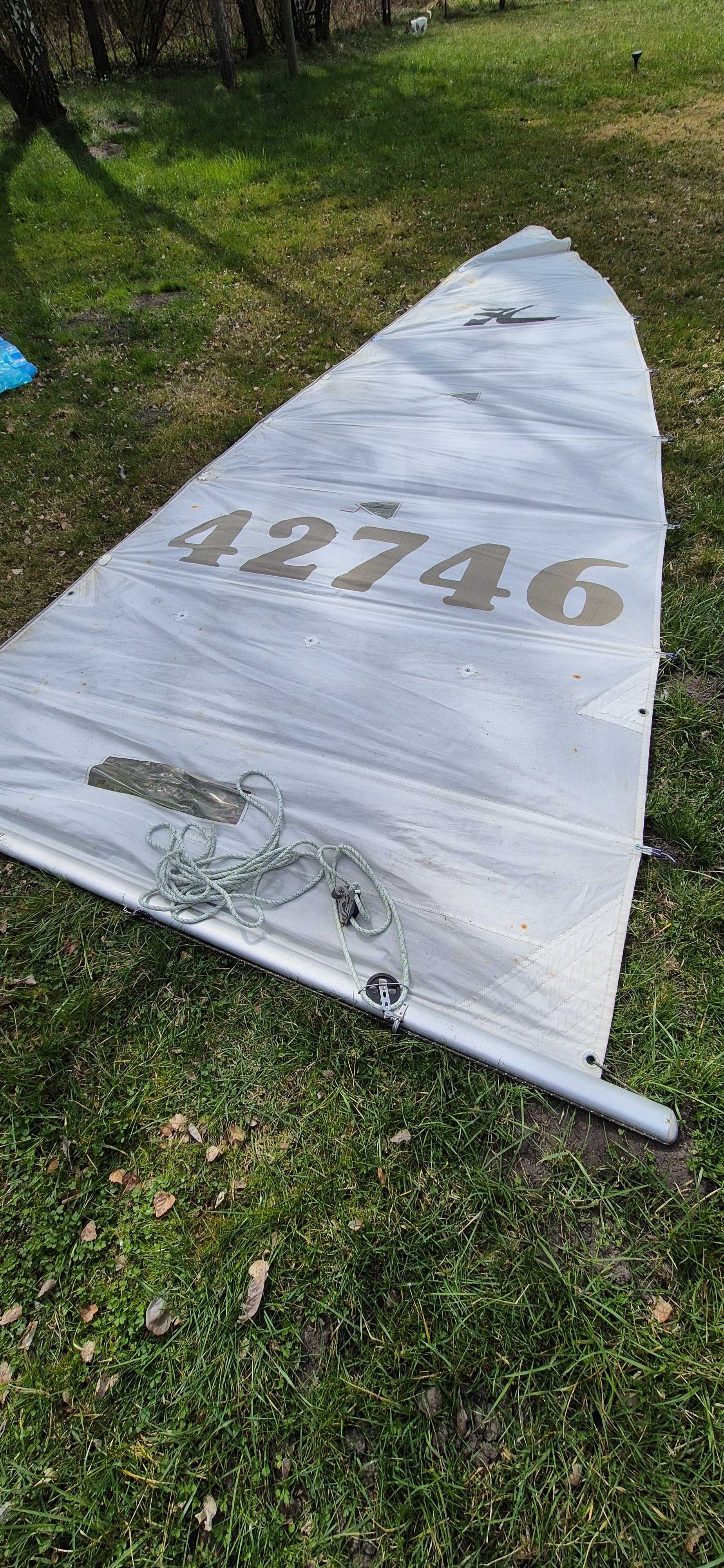 Katamaran Hobie Cat 16 WLKP