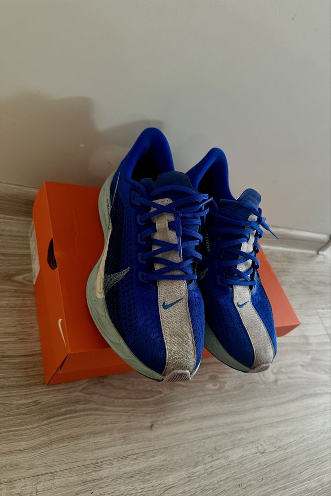 Buty Nike Pegasus Plus