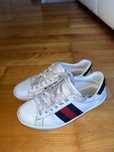 Tenis Gucci Original