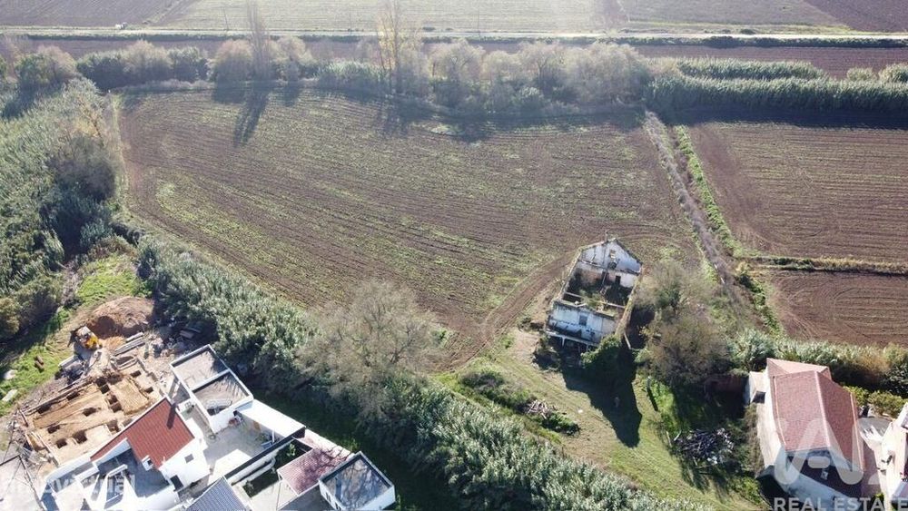 Terreno em São João da Ribeira e Ribeira de São João de 503,00 m2