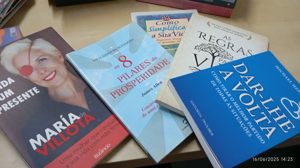 Lote livros auto-ajuda
