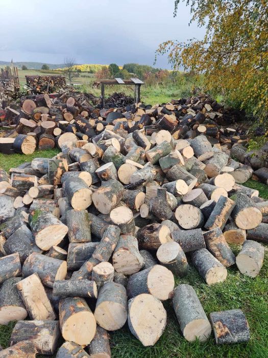 Drzewo/drewno kominkowe na opał kontakt tel!!