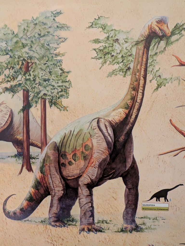 Plakat dinozaury dziecięcy do pokoju dziecięcego duży ponad A1