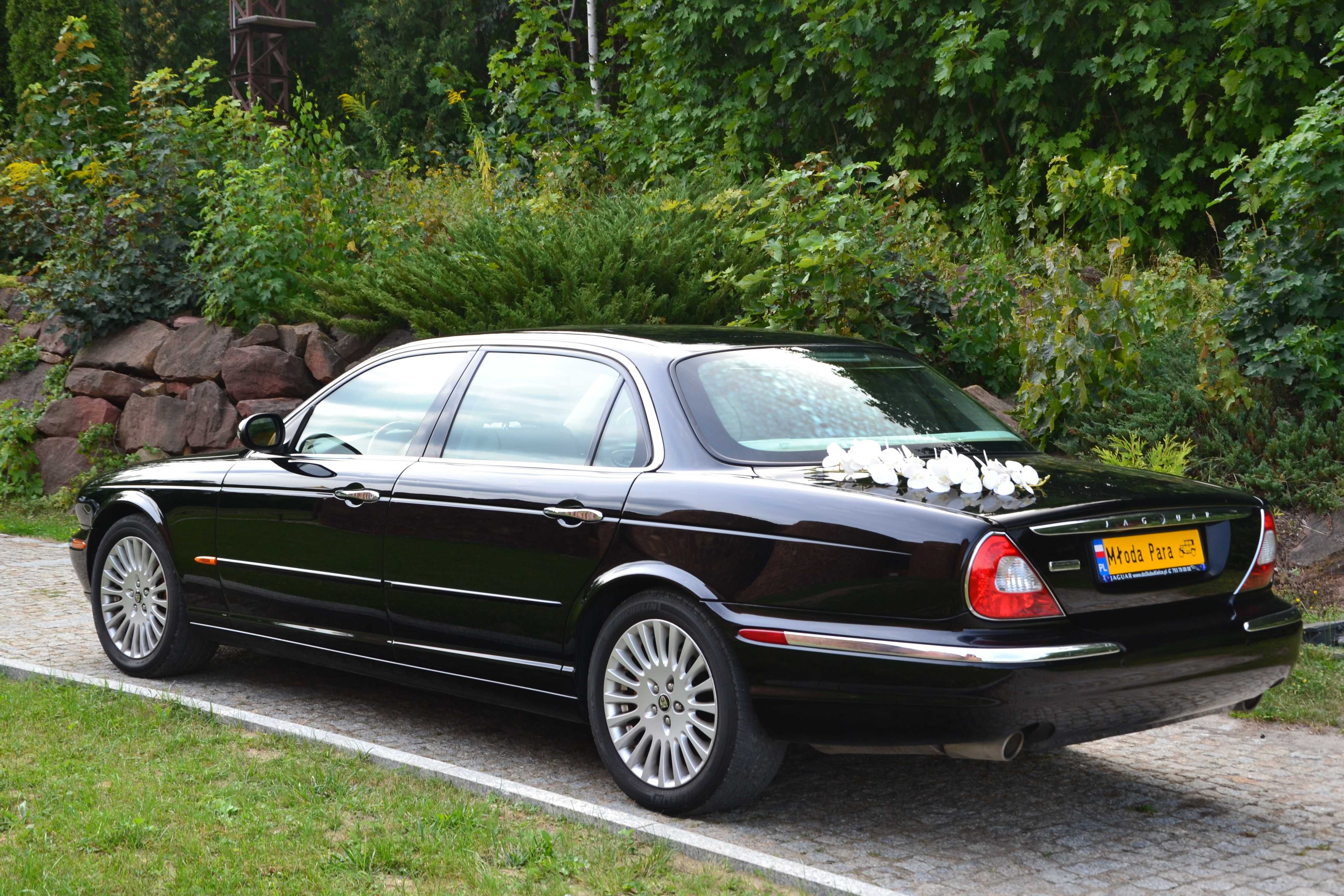 ślubny JAGUAR XJ PREMIUM LONG do ślubu Kielce limuzyna auto samochód