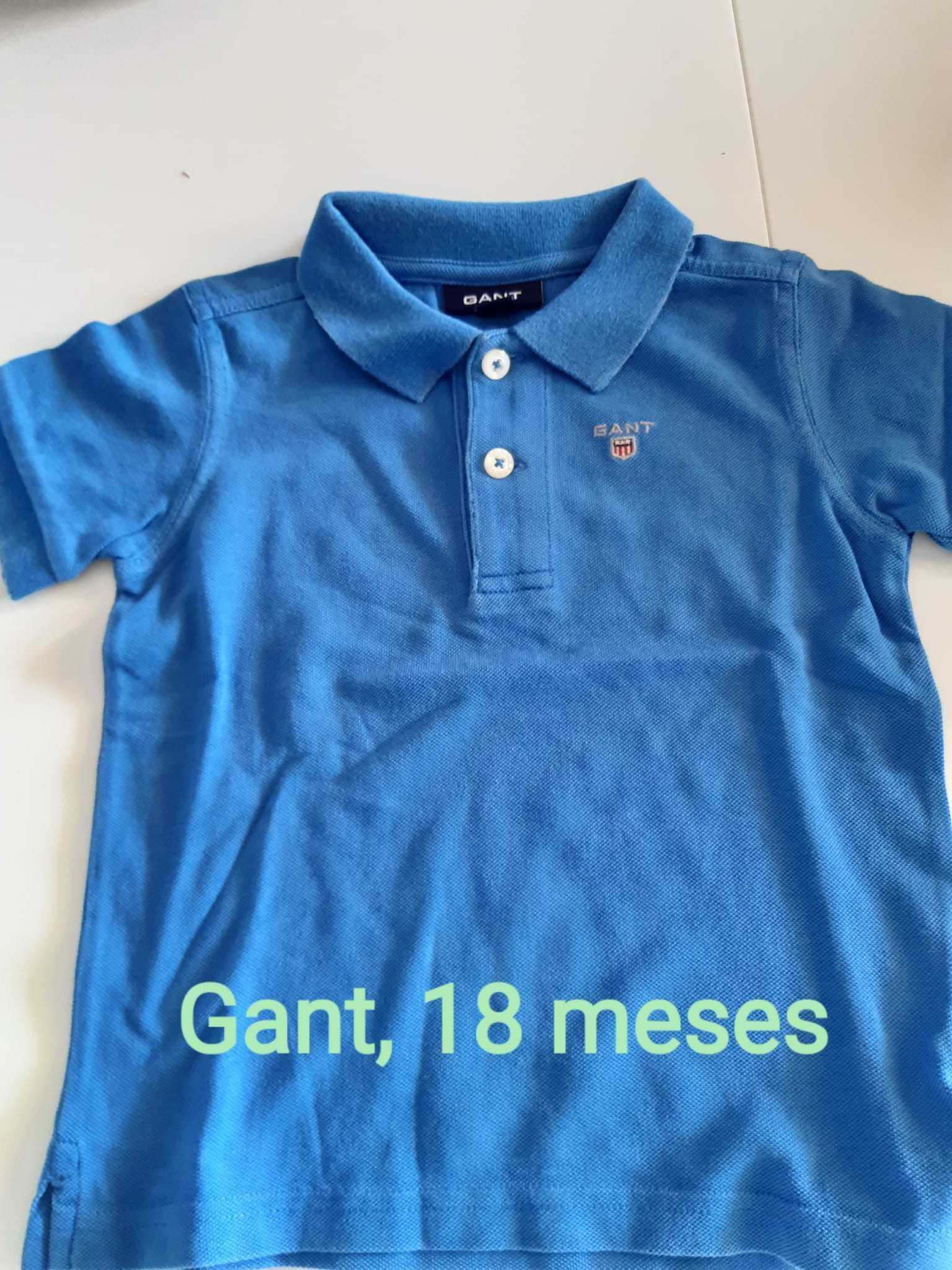 T-shirts e polos 18 meses