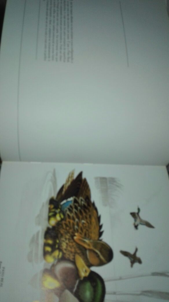 Livro para colecionadores didático