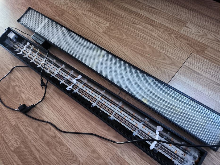 Lâmpadas de aquário