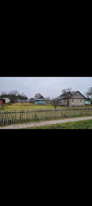 Продається будинок з присадибною ділянкою в центрі с.Шацьк.