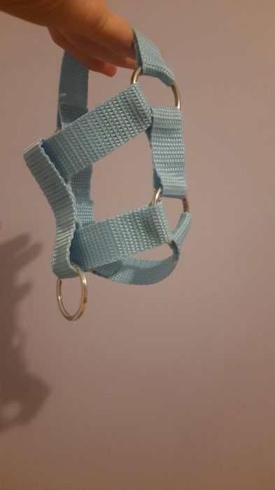 niebieski kantar dla hobby horse na zamówienie