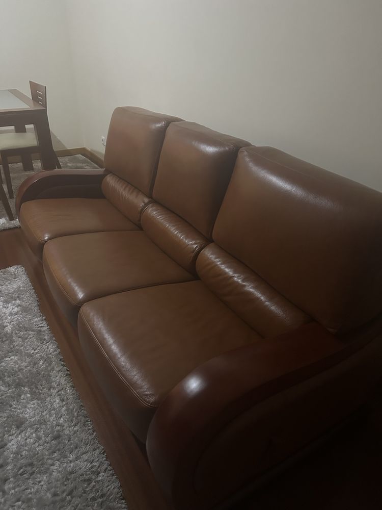 Sofas em pele novos