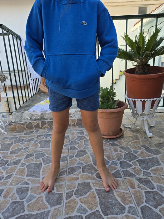 Camisola menino lacoste