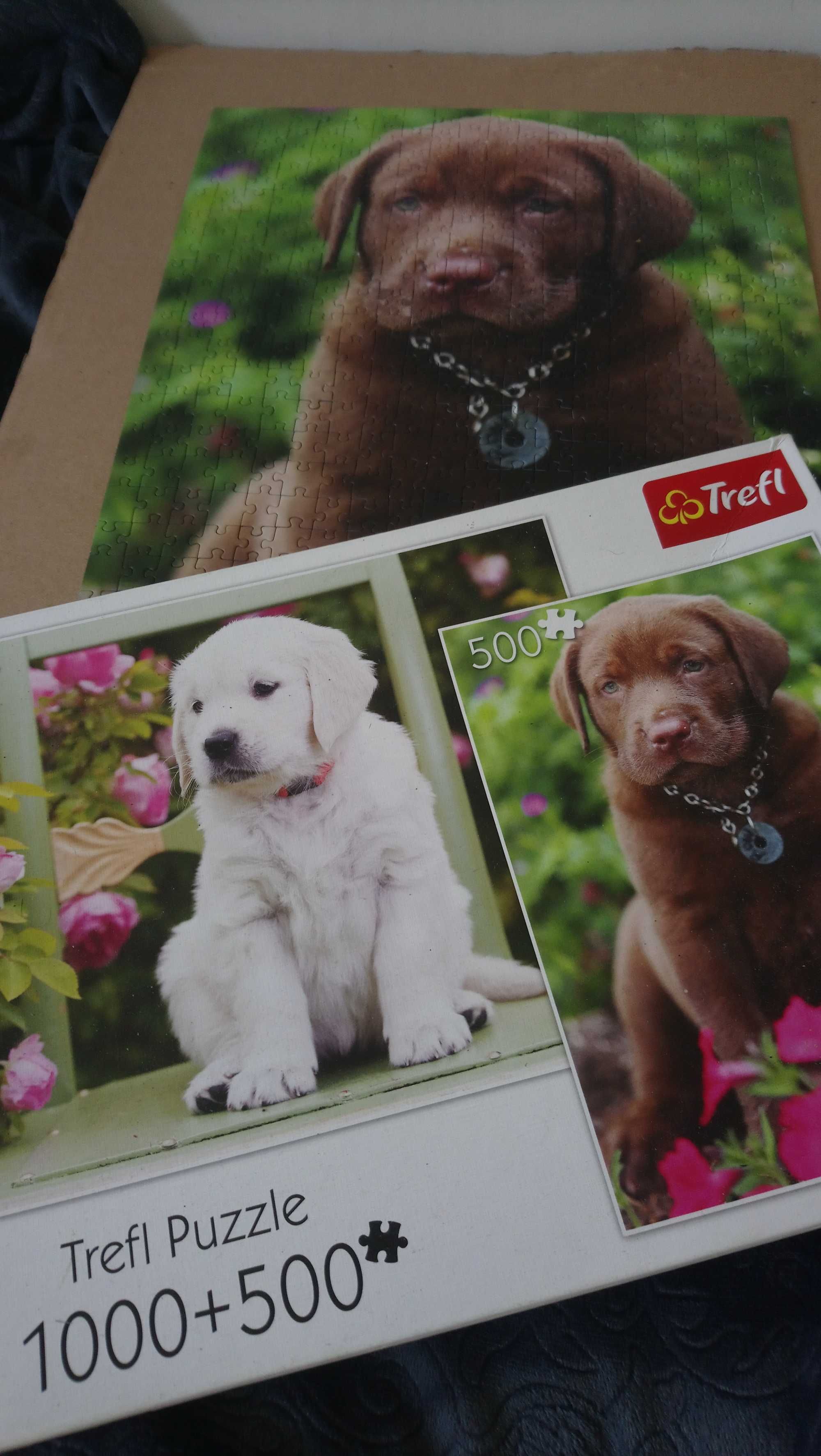 Puzzle szczeniaki labrador 1000+500