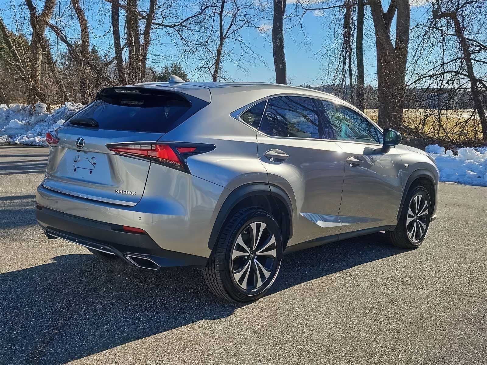 2020 Lexus NX 300 F SPORT