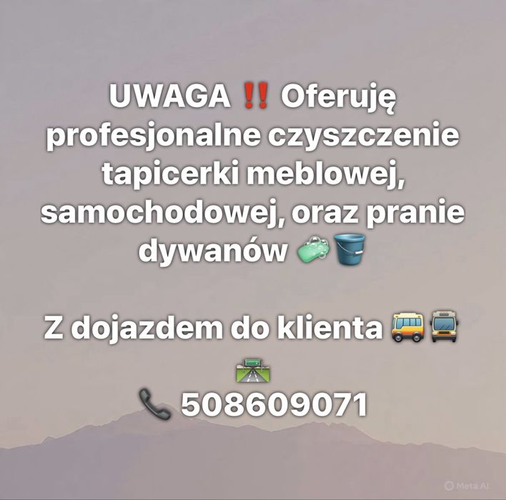 Pranie tapicerki samochodowej/meblowej/dywany