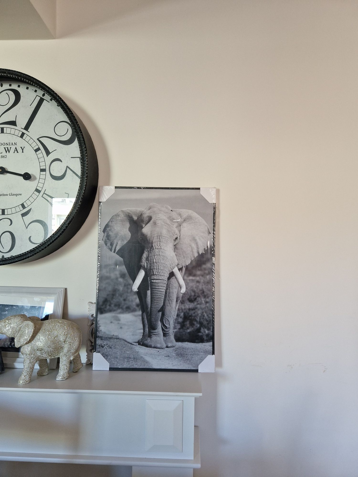 Obraz czarno biały słoń