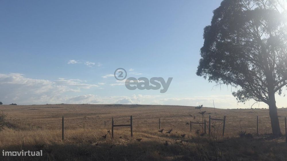 Terreno rústico com 4.5ha, Casével, Castro Verde