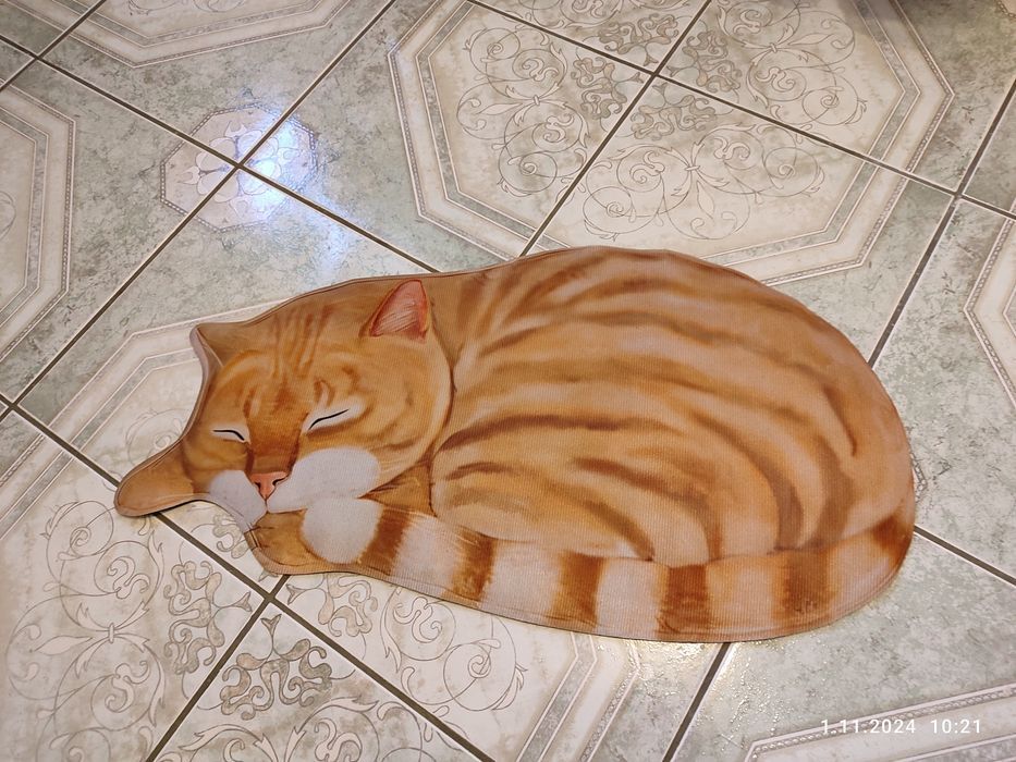 Nowy dywan do pokoju dziecięcego Kot rudy