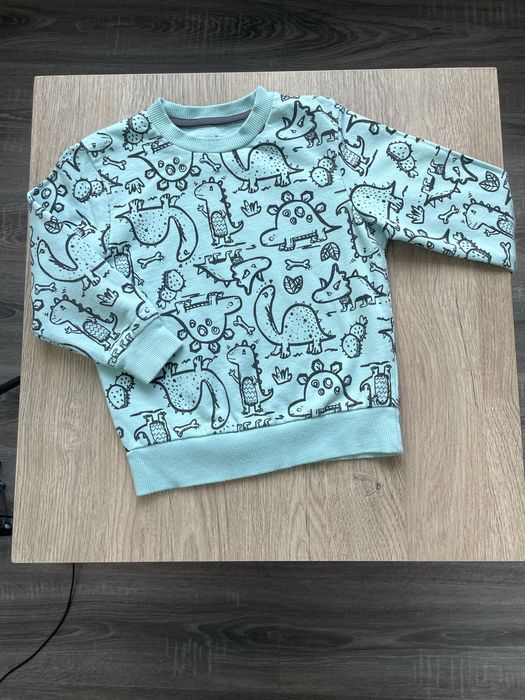 Світшот на флісі 98 104 реглан кофта батнік толстовка бірюзова динозав