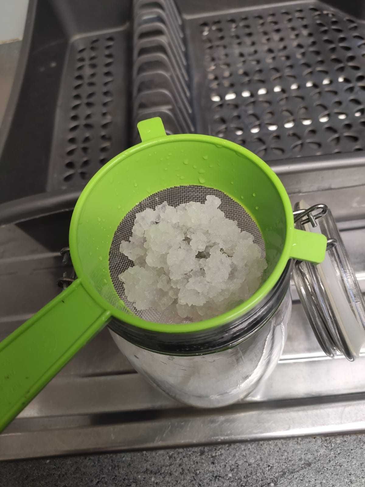 ZESTAW: Algi japońskie + Kombucha na SPALANIE TŁUSZCZU i detoks