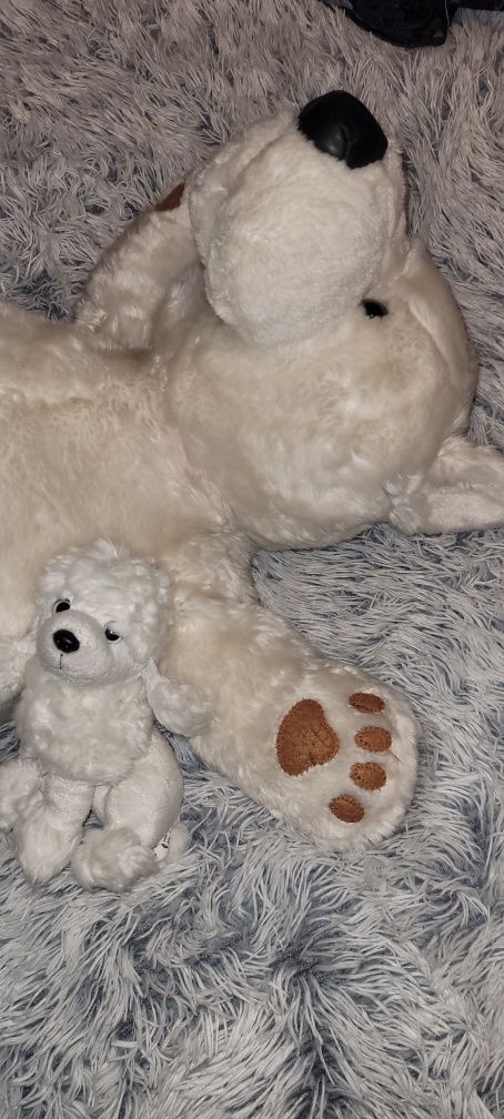 Miś polarny i gratis piesek. Polecam.